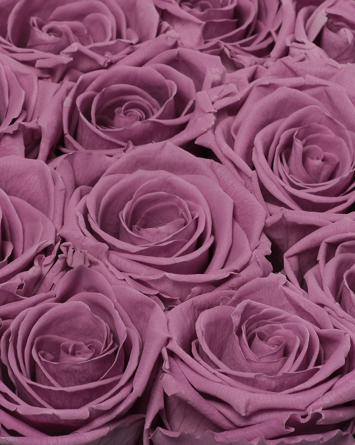 Hat Box - Lilac