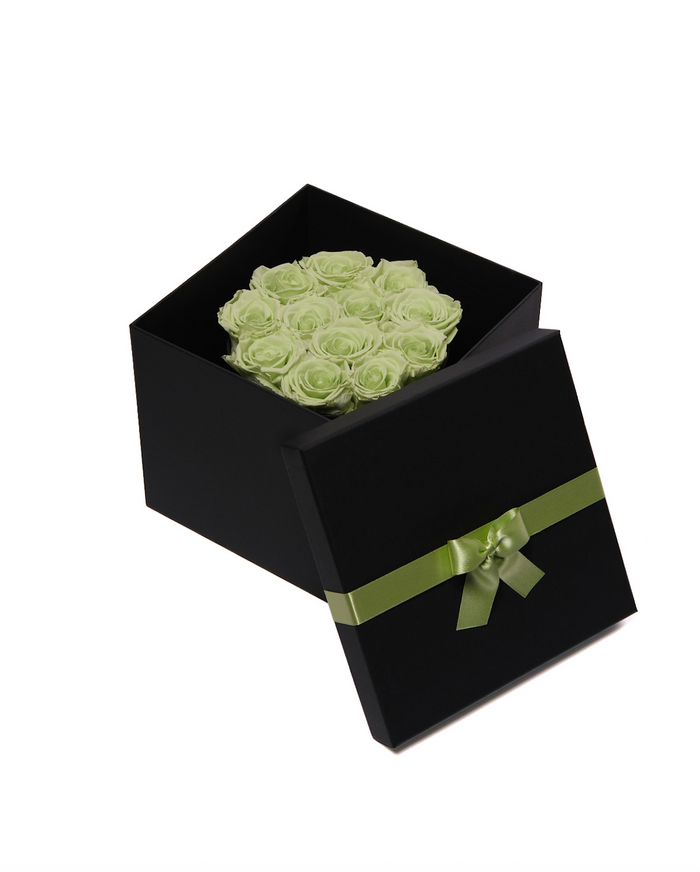 Hat Box - Lime Green