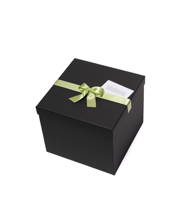 Hat Box - Lime Green
