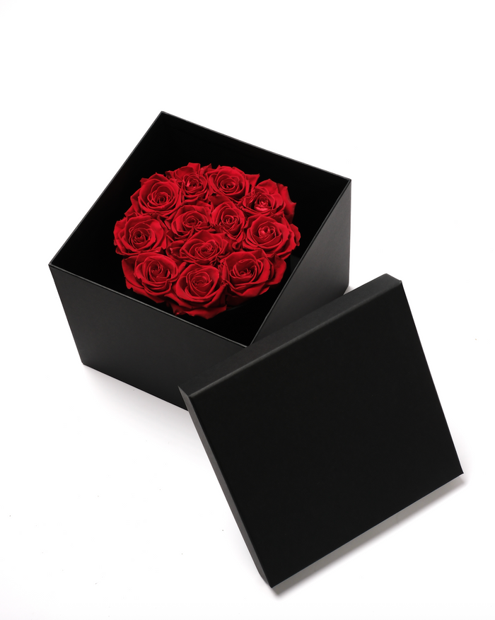 Hat Box -  Red