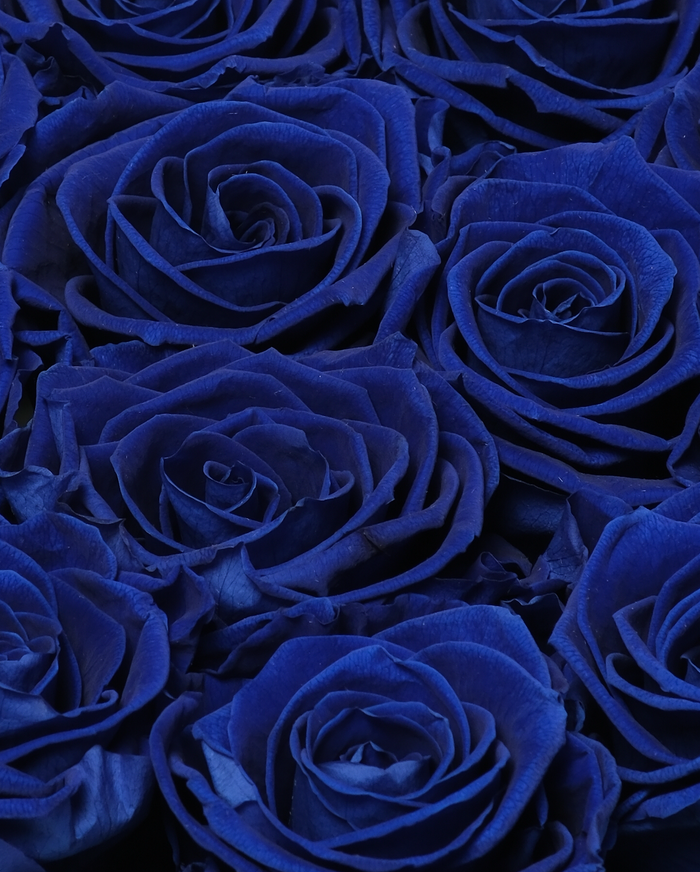 Hat Box - Sapphire Blue