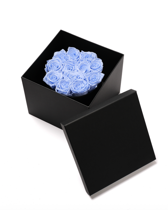 Hat Box - Sky Blue