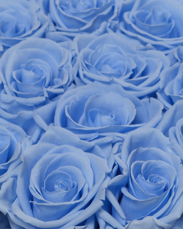 Hat Box - Sky Blue