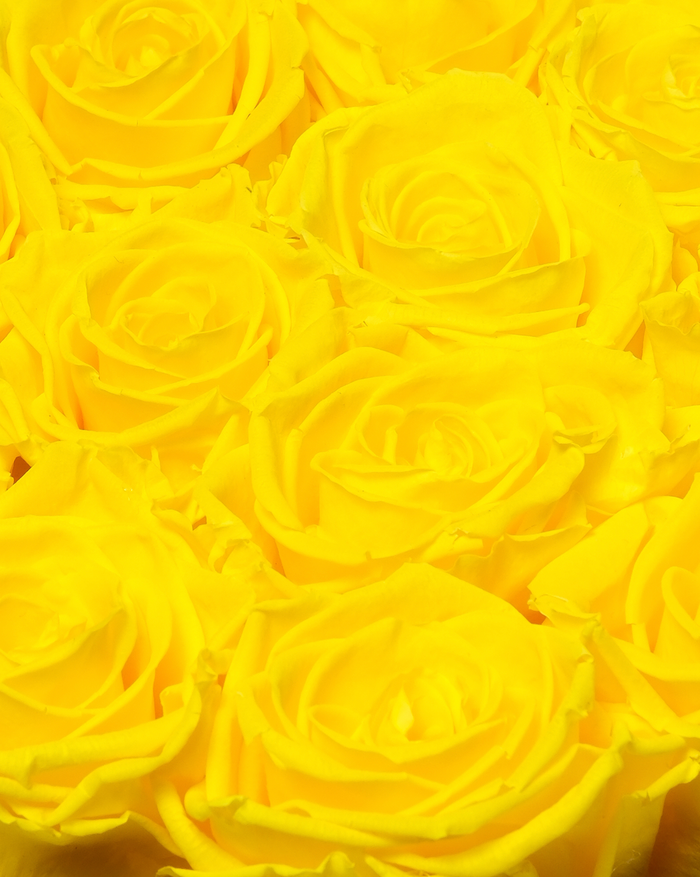 Hat Box - Yellow