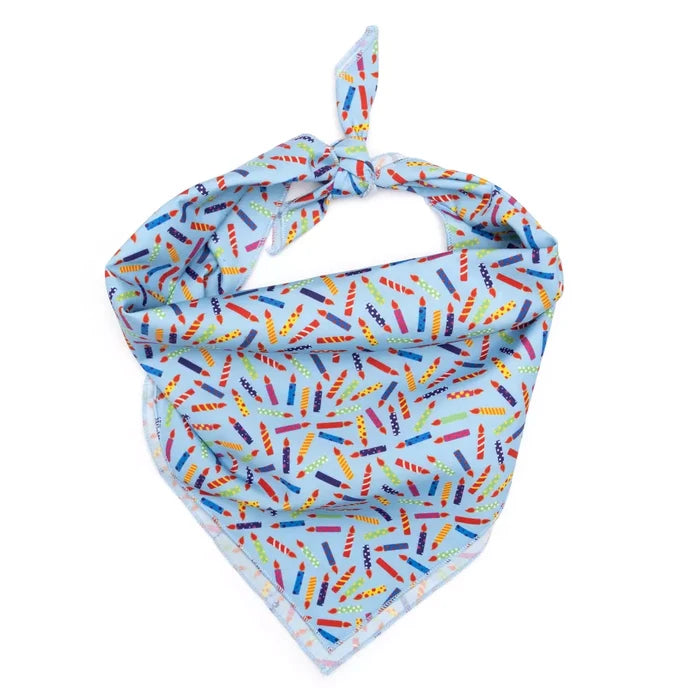 It's My Birthday Bandana in Blue - Madison's Niche