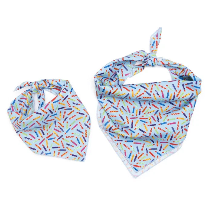 It's My Birthday Bandana in Blue - Madison's Niche