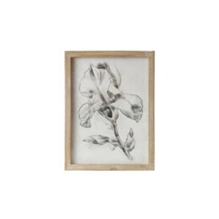 IRIS