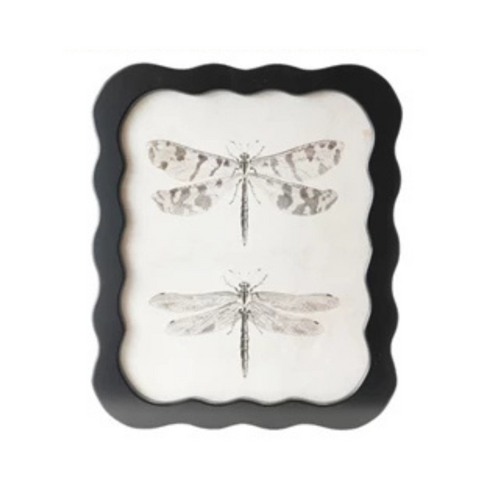 DRAGONFLIES