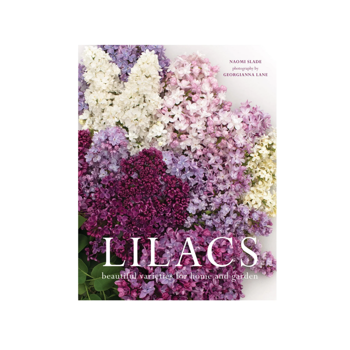 Lilacs