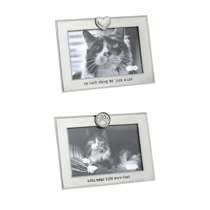 Metal Cat Frame - Madison's Niche