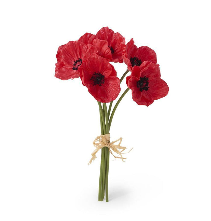 Minii Poppy Bundle - Madison's Niche