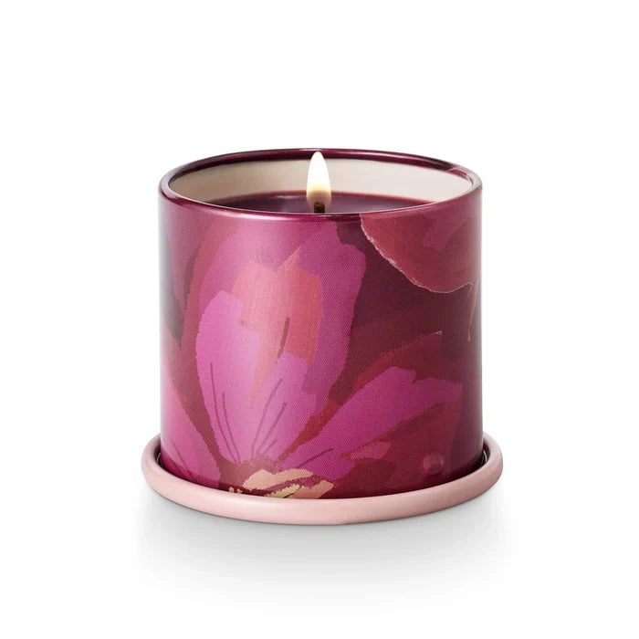 Oleander Oak Demi Vanity Tin Candle - Madison's Niche