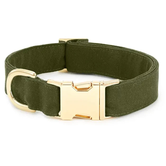 Olive Collar - Madison's Niche