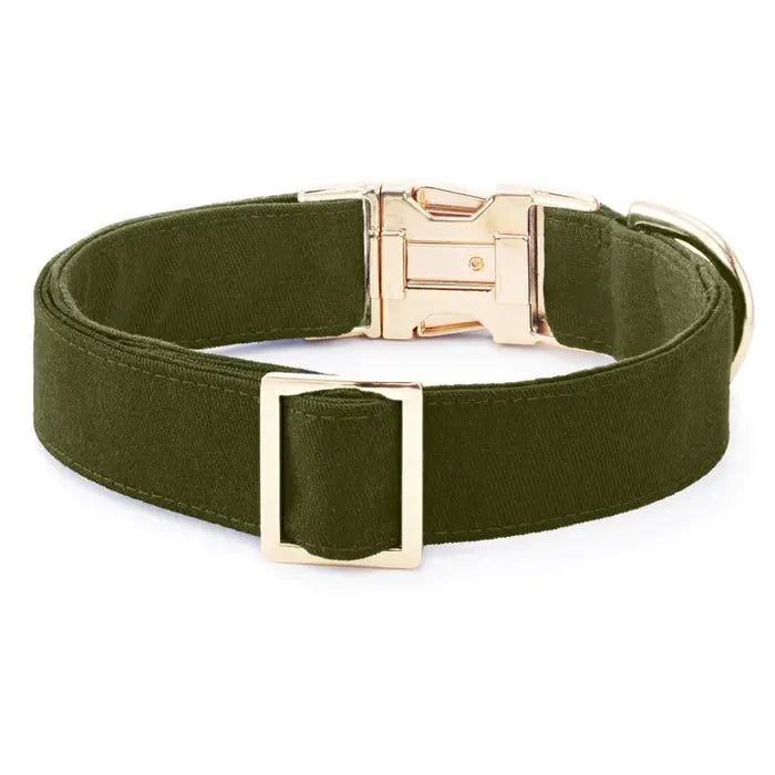 Olive Collar - Madison's Niche