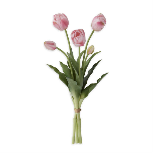 Pink Tulip Bundle - Madison's Niche