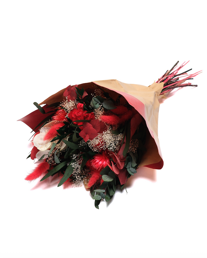 Primavera - Red