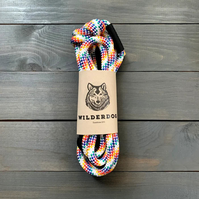 Rainbow Rope Leash