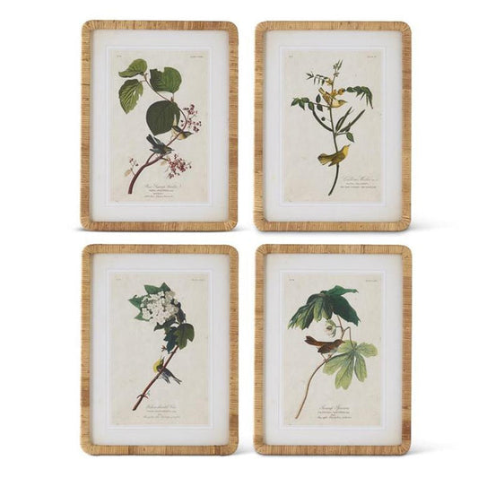 Rattan Framed Botanical Print - Madison's Niche