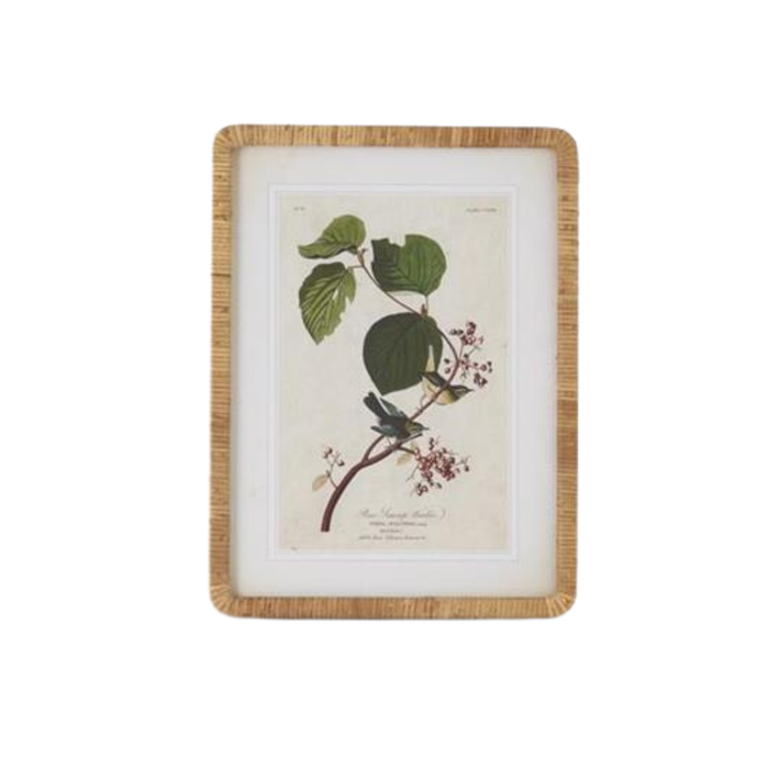 Rattan Framed Botanical Print - Madison's Niche