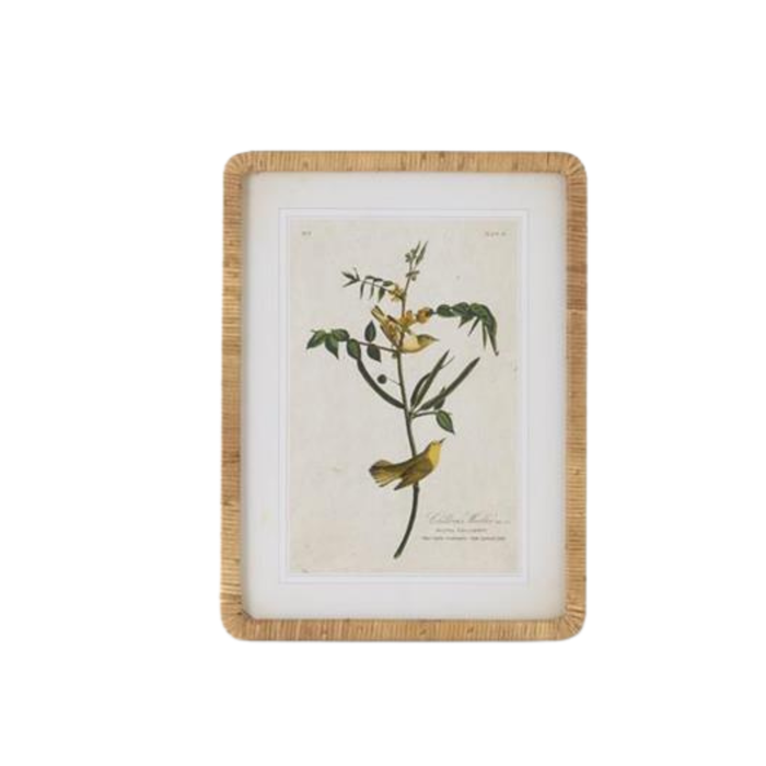 Rattan Framed Botanical Print - Madison's Niche