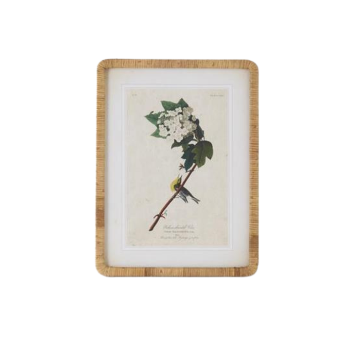 Rattan Framed Botanical Print - Madison's Niche