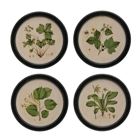 Round Botanical Wall Art - Madison's Niche