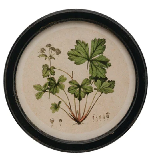 Round Botanical Wall Art - Madison's Niche