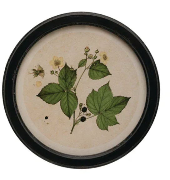 Round Botanical Wall Art - Madison's Niche