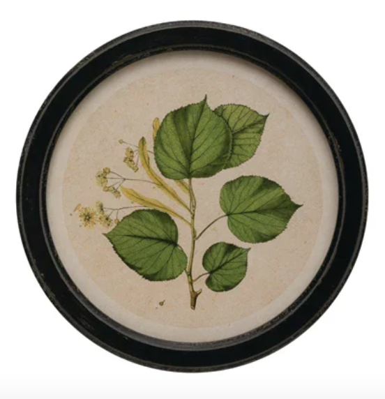Round Botanical Wall Art - Madison's Niche