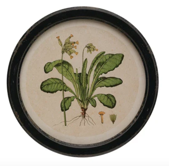 Round Botanical Wall Art - Madison's Niche