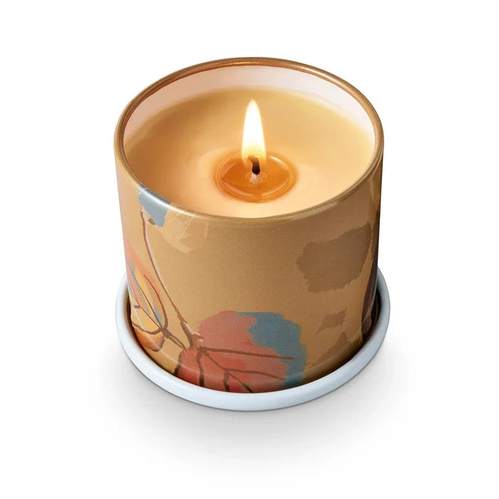 Santal Birch Demi Vanity Tin Candle - Madison's Niche