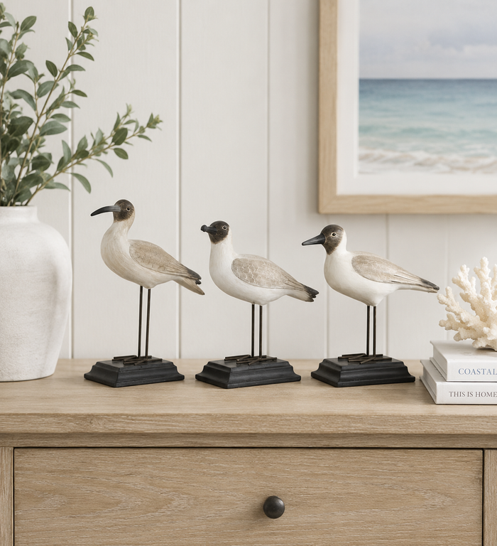 Seagull Decor