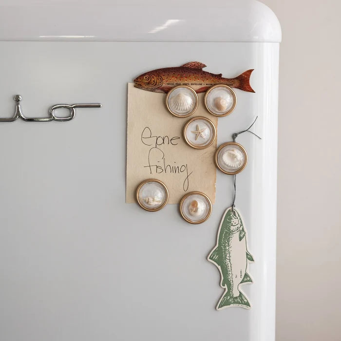 Shell Magnet Set of 6 on Card - Madison's Niche