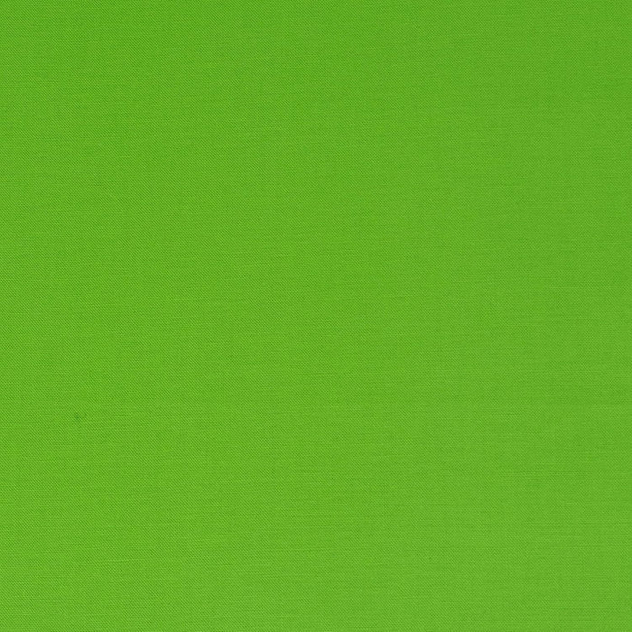 Chive