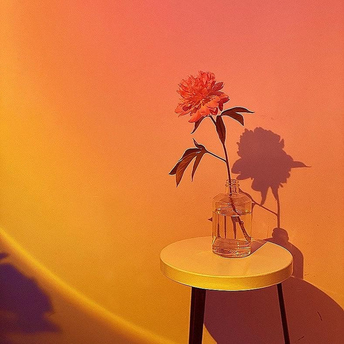 A vibrant sunset lamp projects warm orange and pink light onto a wall, illuminating a flower in a vase on a small table.