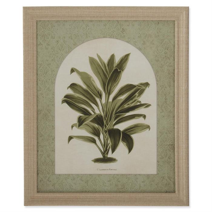 Tropical Plant Wall Art - Madison's Niche