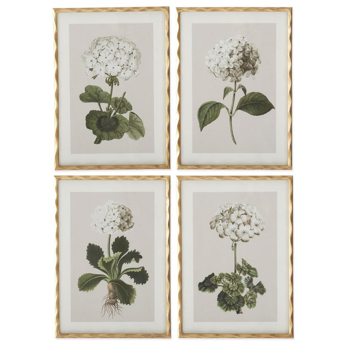 White Geranium Wall Art - Madison's Niche