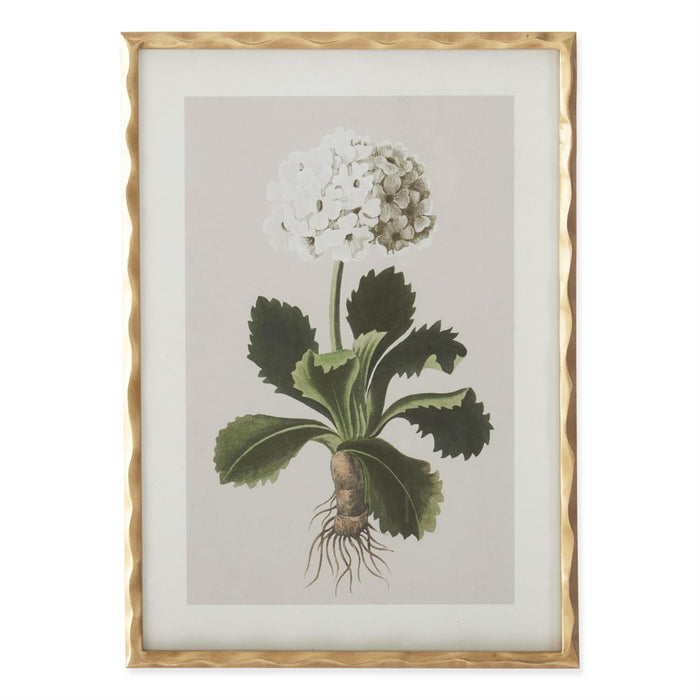 White Geranium Wall Art - Madison's Niche