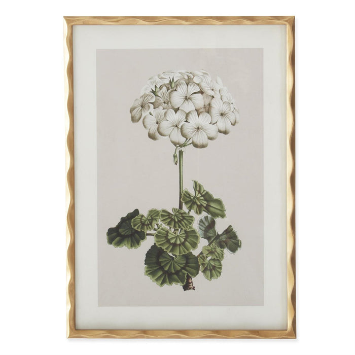 White Geranium Wall Art - Madison's Niche