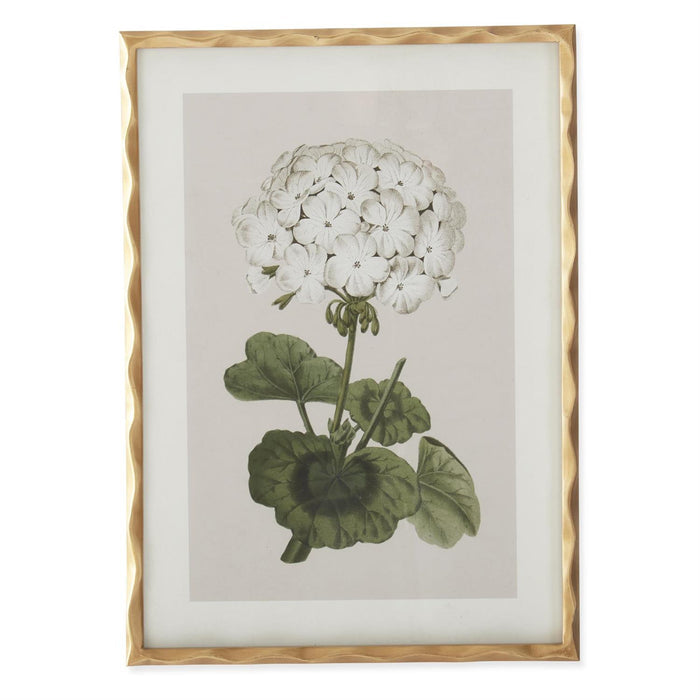 White Geranium Wall Art - Madison's Niche