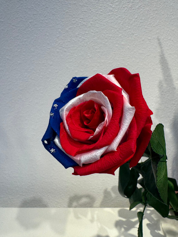 World Cup Roses!