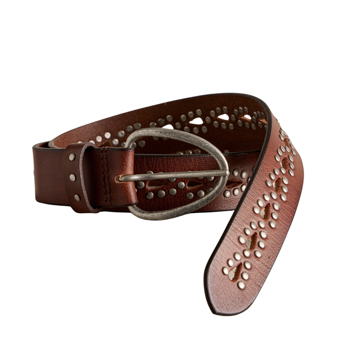 WTF Preston Stud Belt in Mocha - Madison's Niche