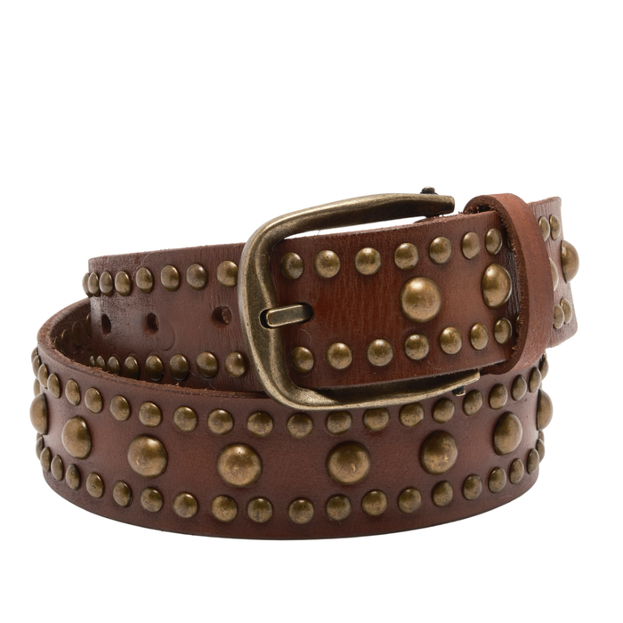 WTF Sola Stud Belt in Cognac