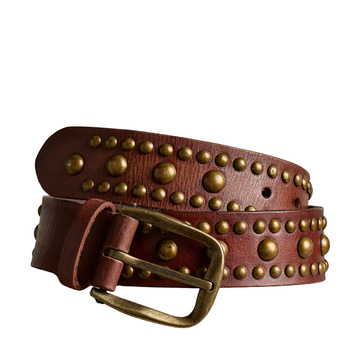 WTF Sola Stud Belt in Cognac