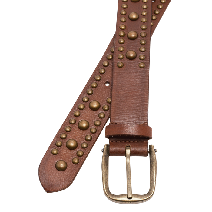 WTF Sola Stud Belt in Cognac